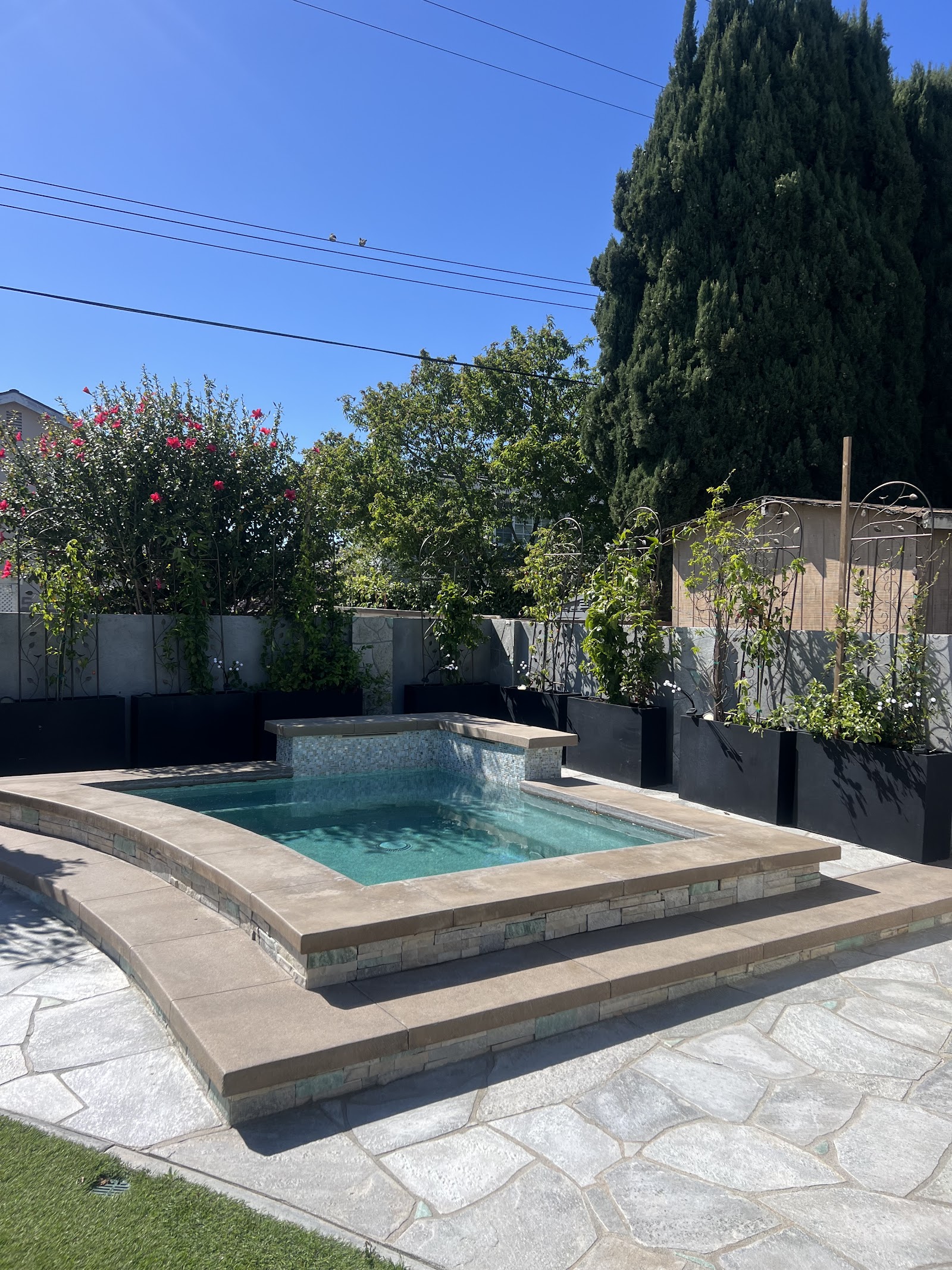 Complete Pool Renovation with Water Feature